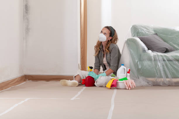 Reliable Mold Removal contractor in Needham, MA by WQB Mold Removal